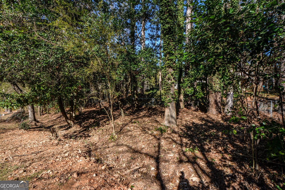 1610 Chateau Drive Atlanta - 38