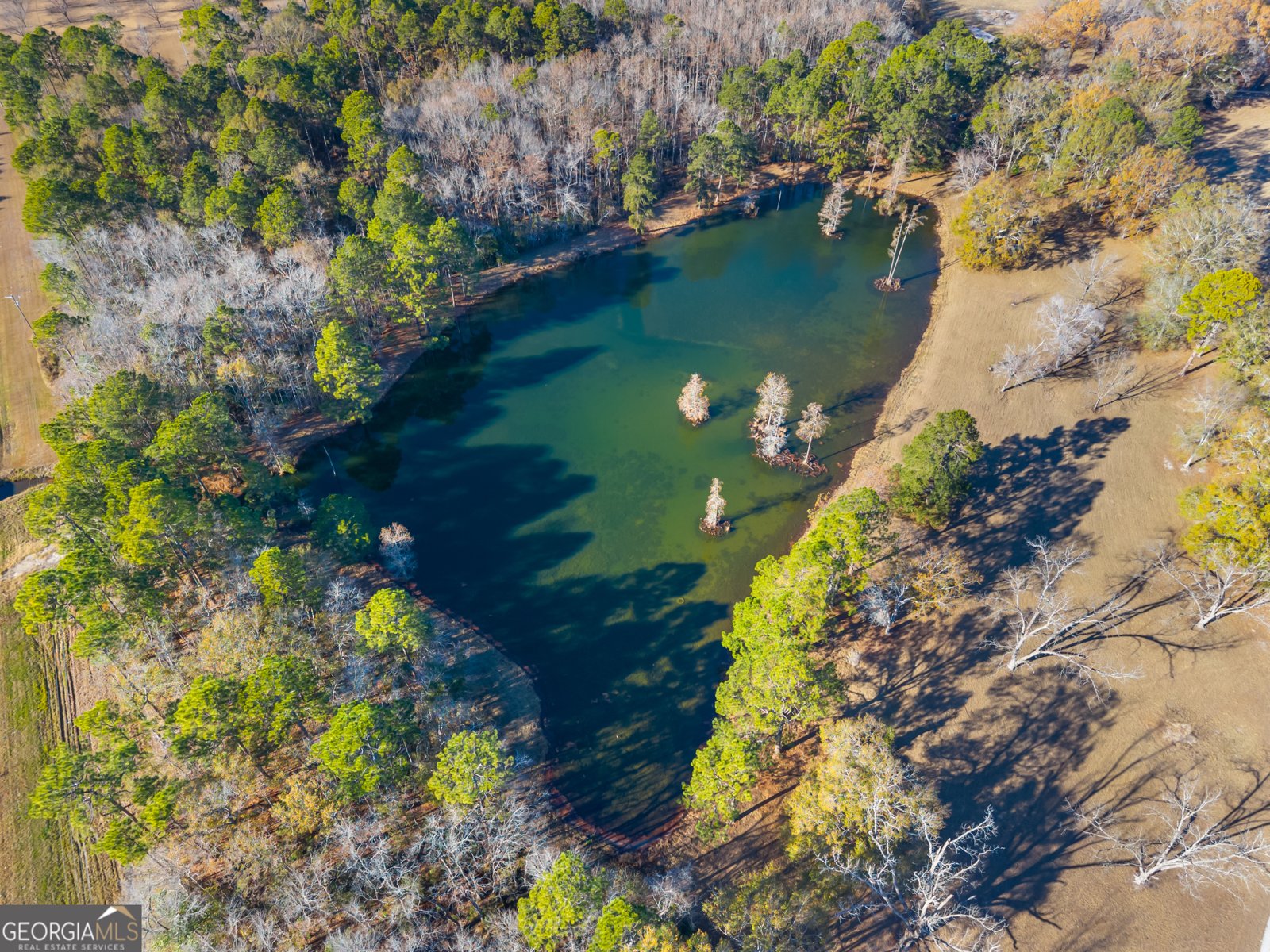 20316 Us Highway 80 Statesboro - 36