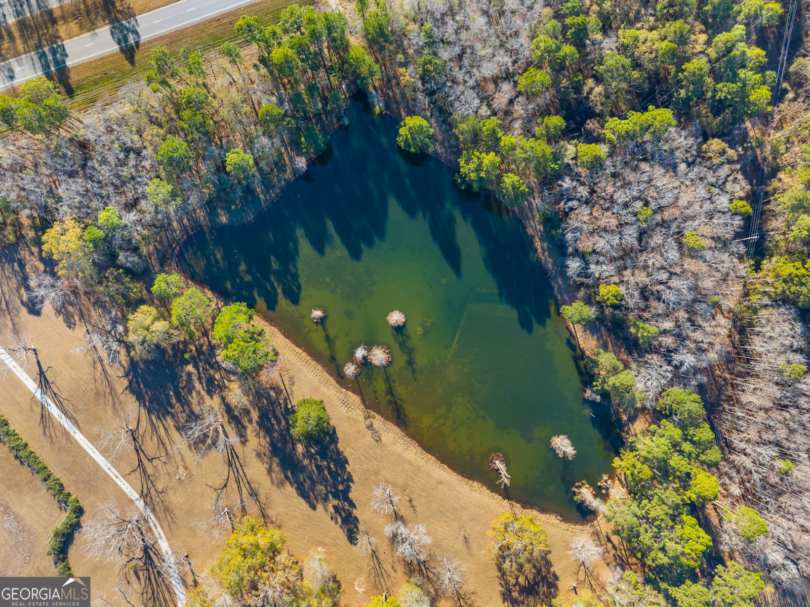 20316 Us Highway 80 Statesboro - 37