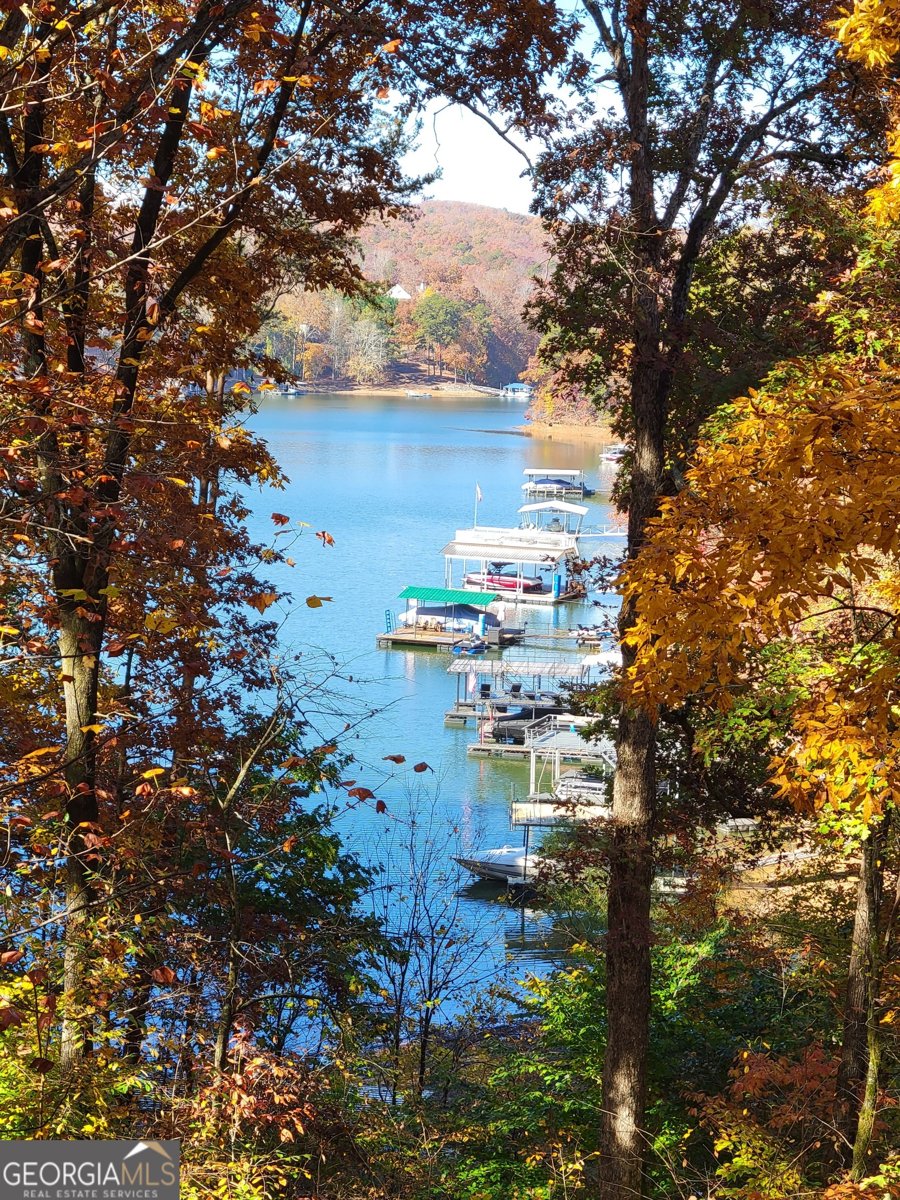 4008 Donna Drive Gainesville - Photo 64