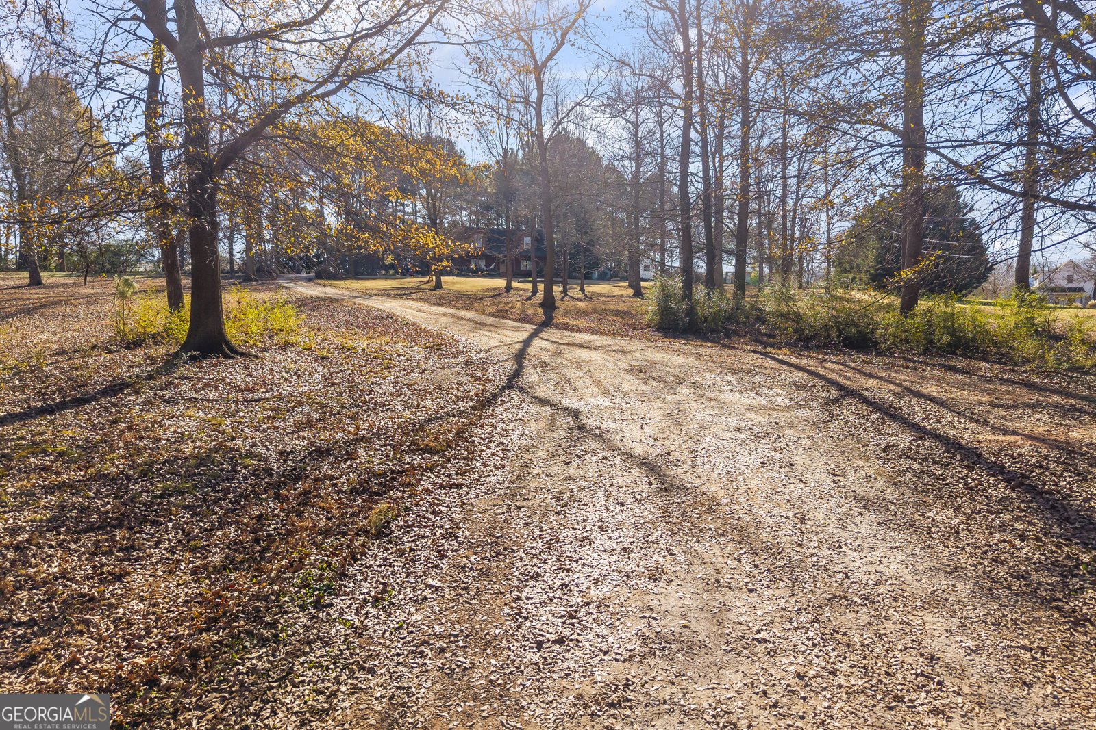 3703 Lankford Road Lavonia - 81