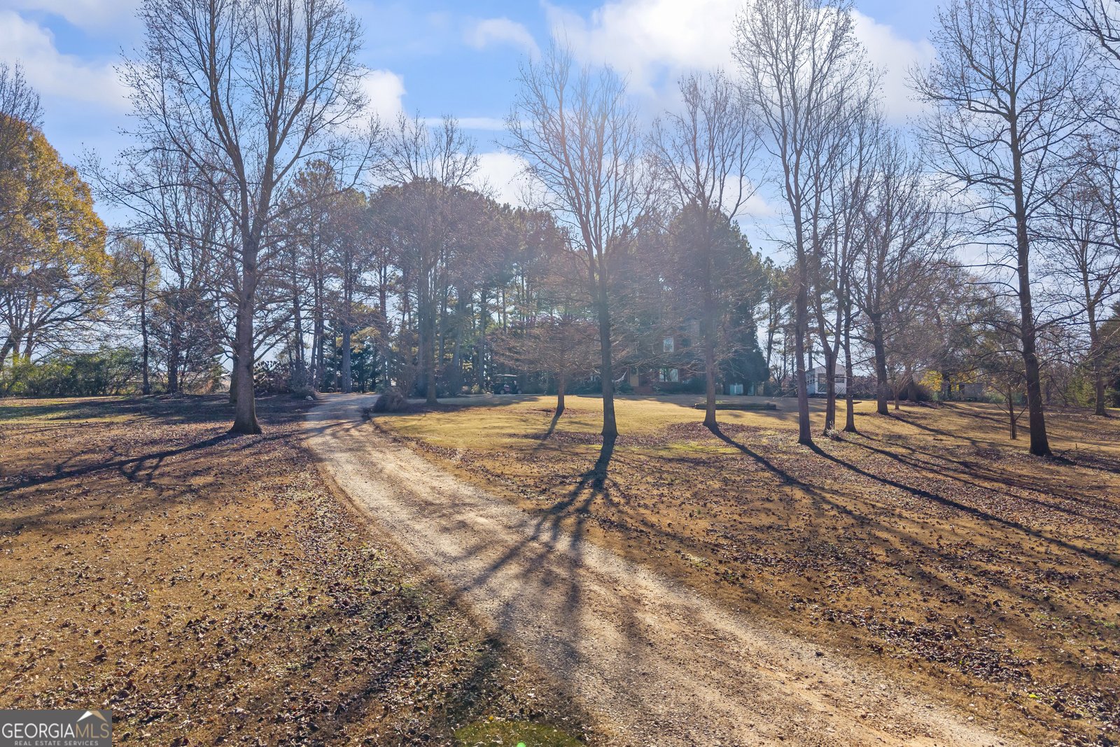 3703 Lankford Road Lavonia - 82