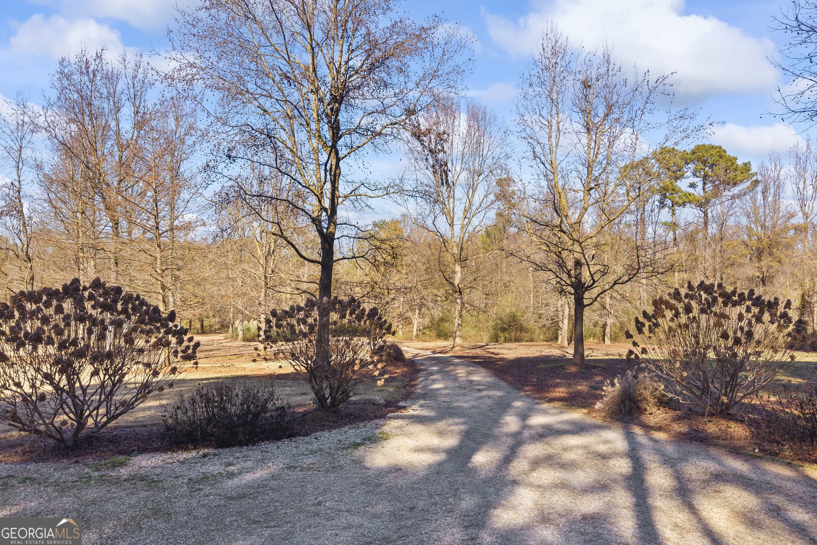 3703 Lankford Road Lavonia - 85