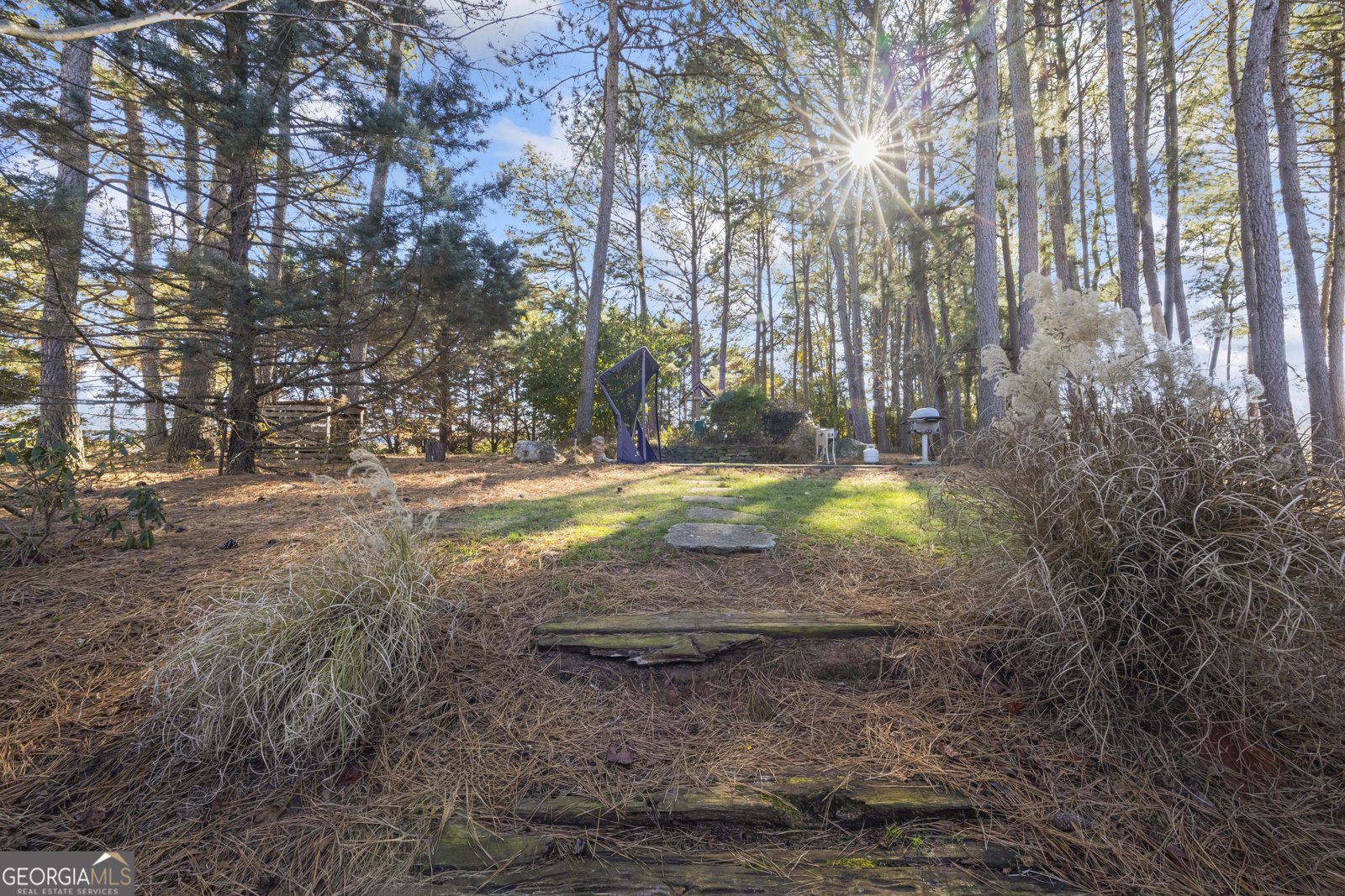 3703 Lankford Road Lavonia - 91