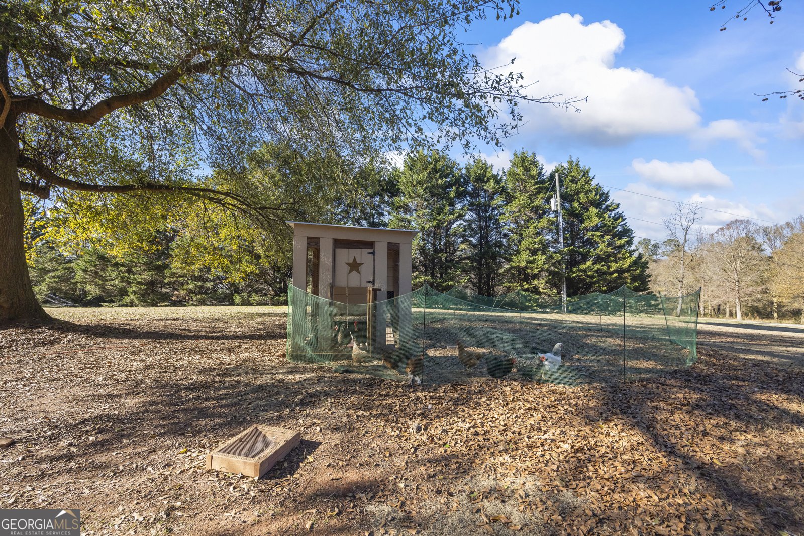 3703 Lankford Road Lavonia - 93