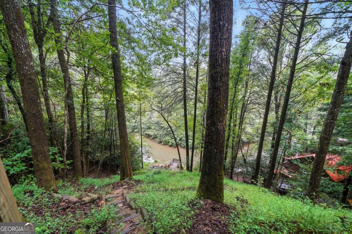 425 River Bend Court Ellijay - 5