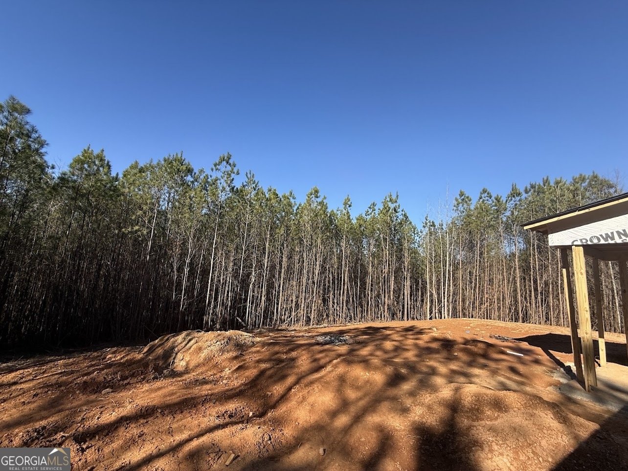 466 Mount Zion Church Road Tallapoosa - 9