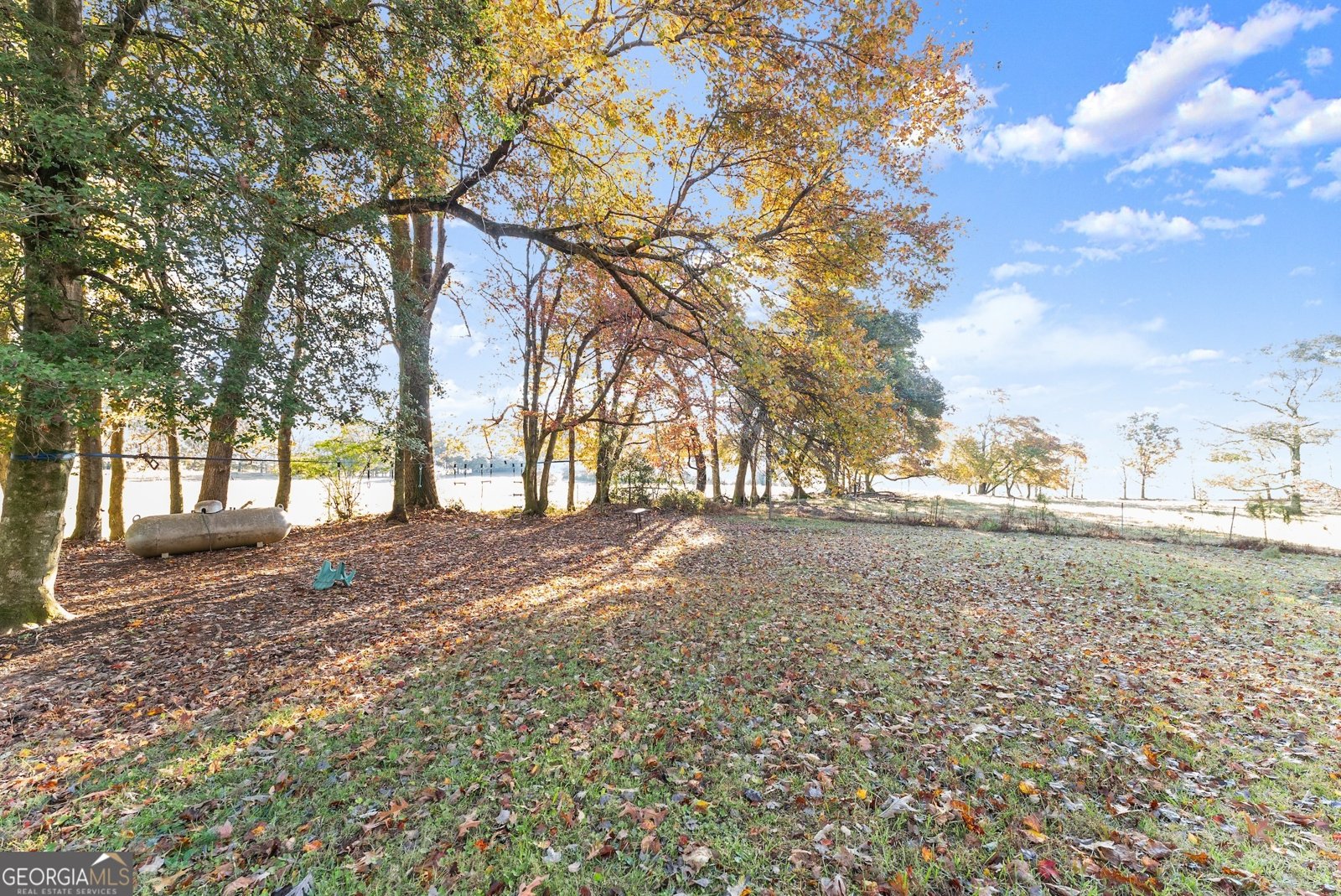 1688 Ben Jones Road Clarkesville - 31