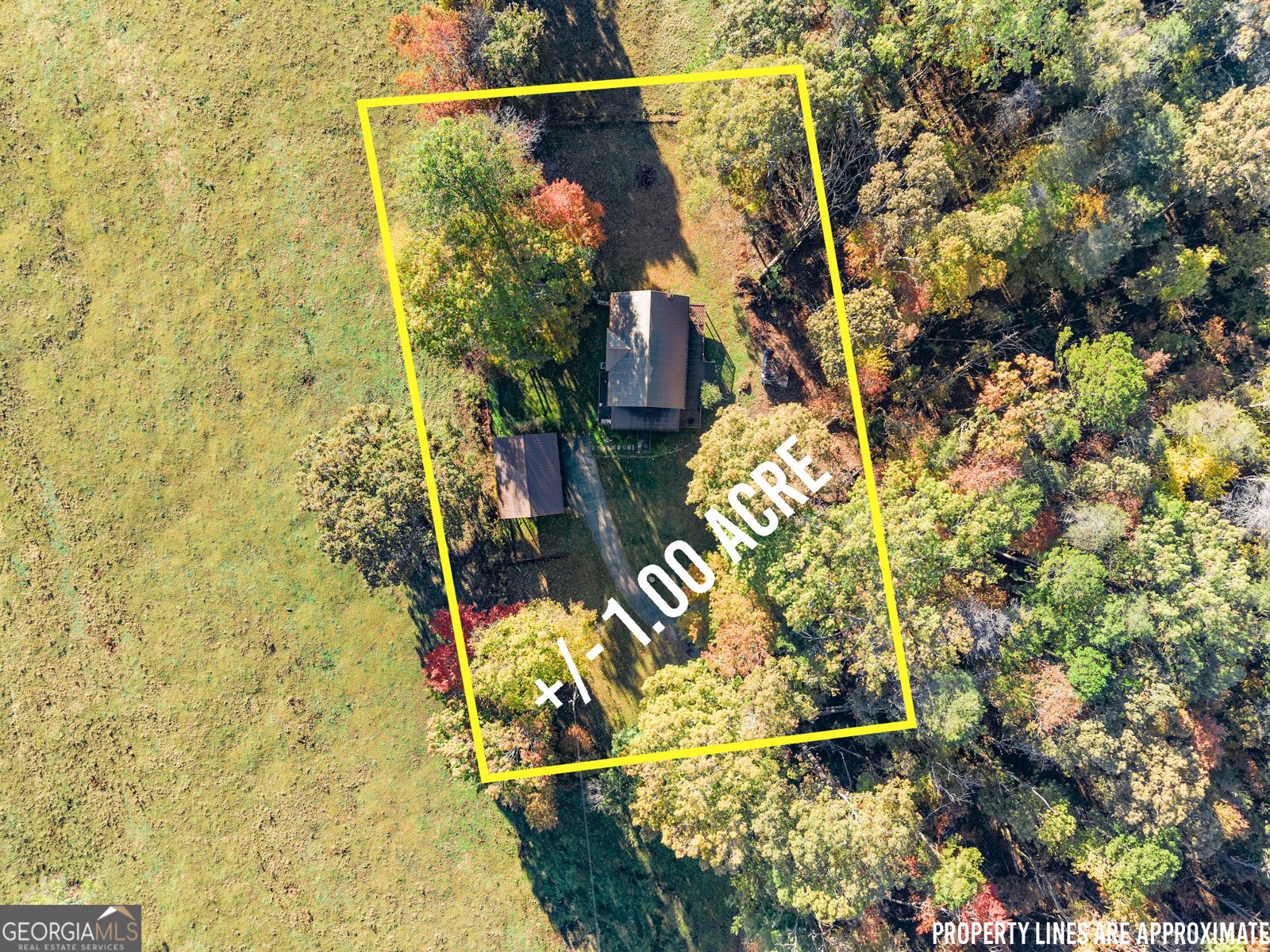 1688 Ben Jones Road Clarkesville - 36