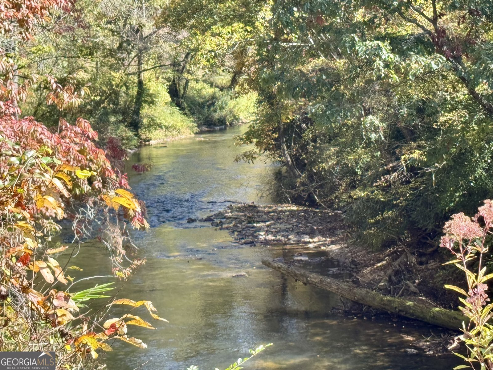 1688 Ben Jones Road Clarkesville - 37