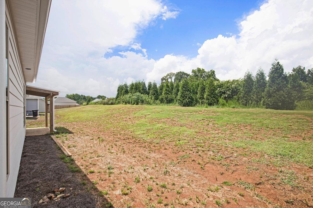 1157 Burgundy Drive Griffin - 24