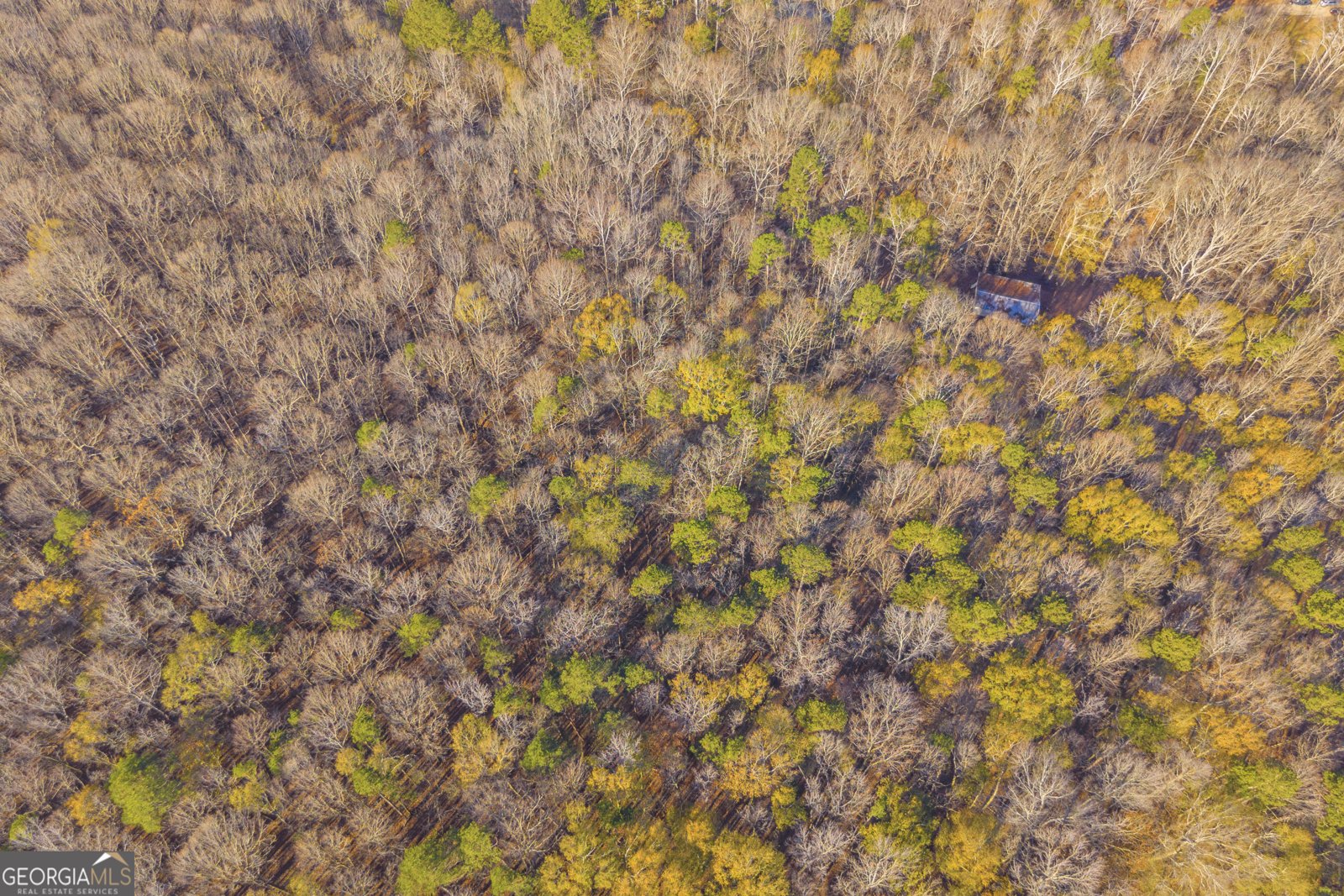 1074 Old Hoods Mill Road Commerce - 9