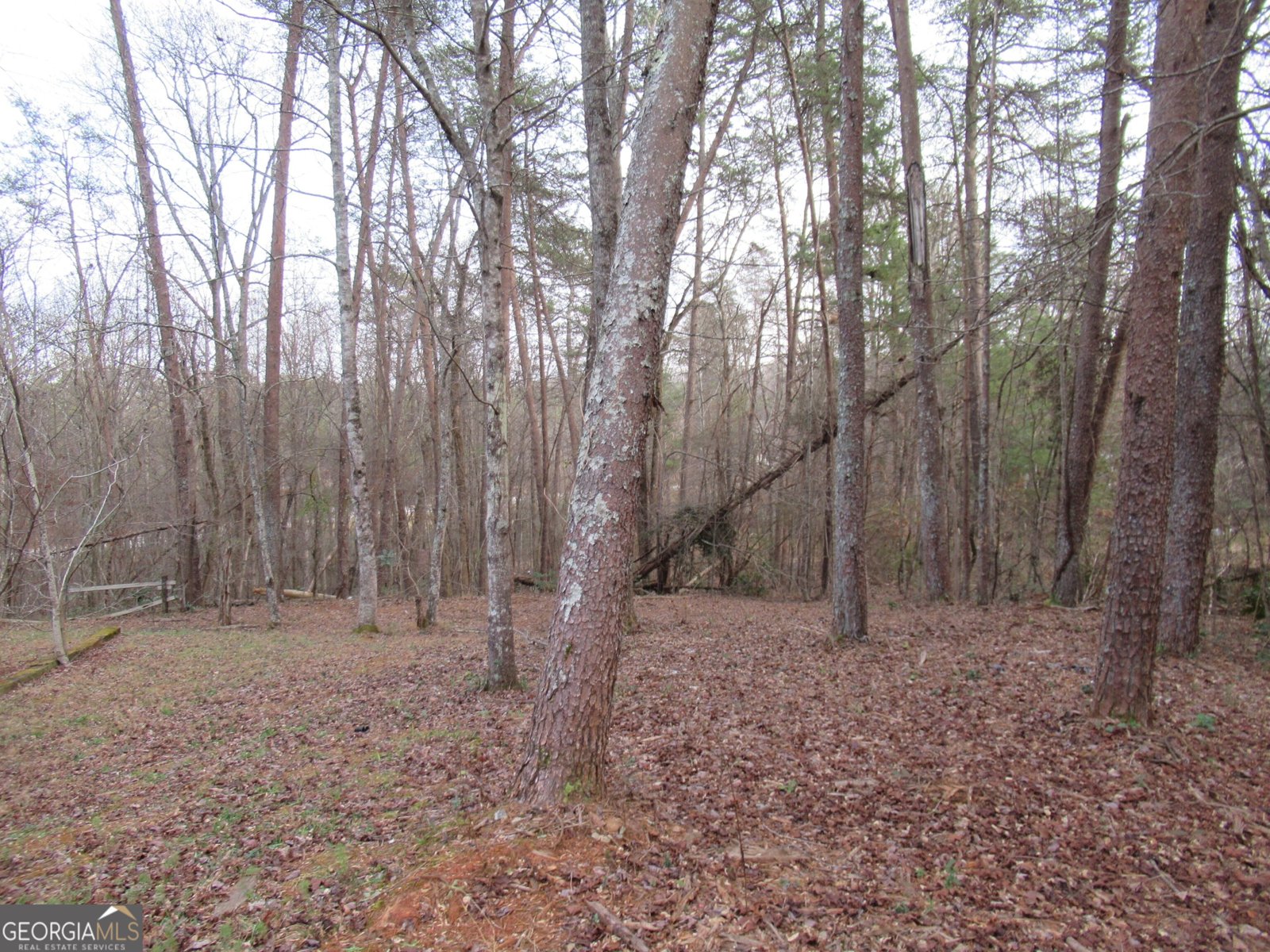 61 Berry Patch Lane Cleveland - 2