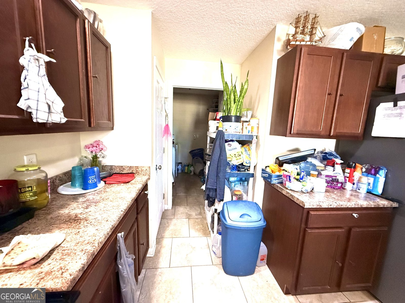 387 Burton Street Nahunta - 13