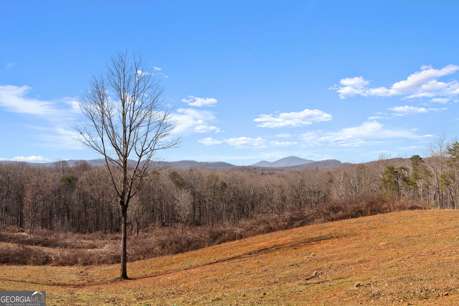 647 Fern Valley Trail Clarkesville - 29