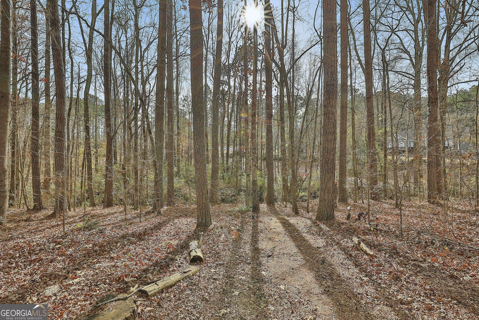 108 Tullamore Trail Tyrone - 52