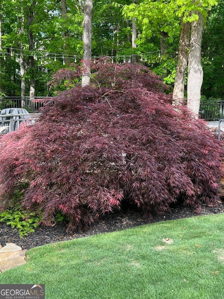 6719 Grand Marina Circle Gainesville - 79