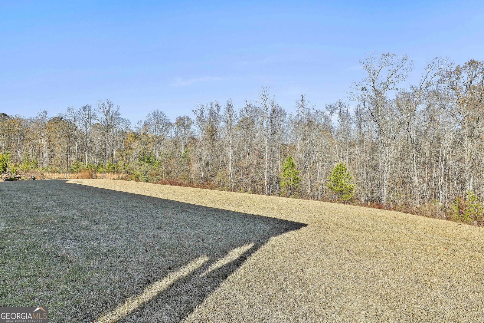 335 Werner Way Senoia - 48