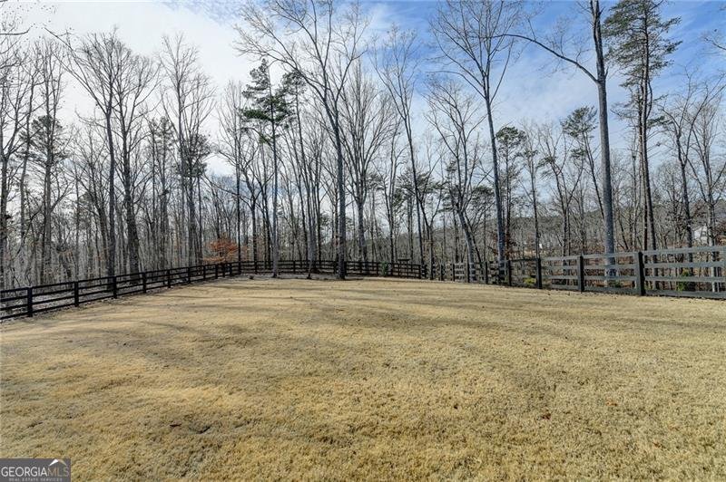 165 Birmingham Road Ball Ground - 41