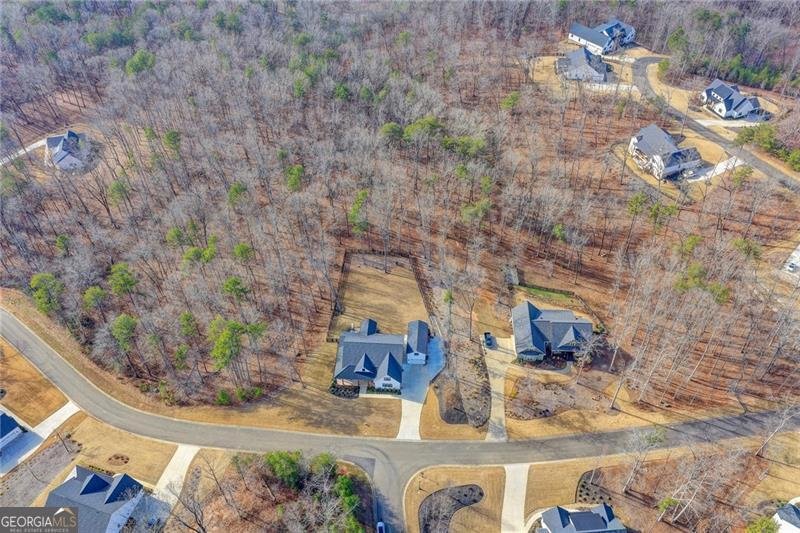 165 Birmingham Road Ball Ground - 51