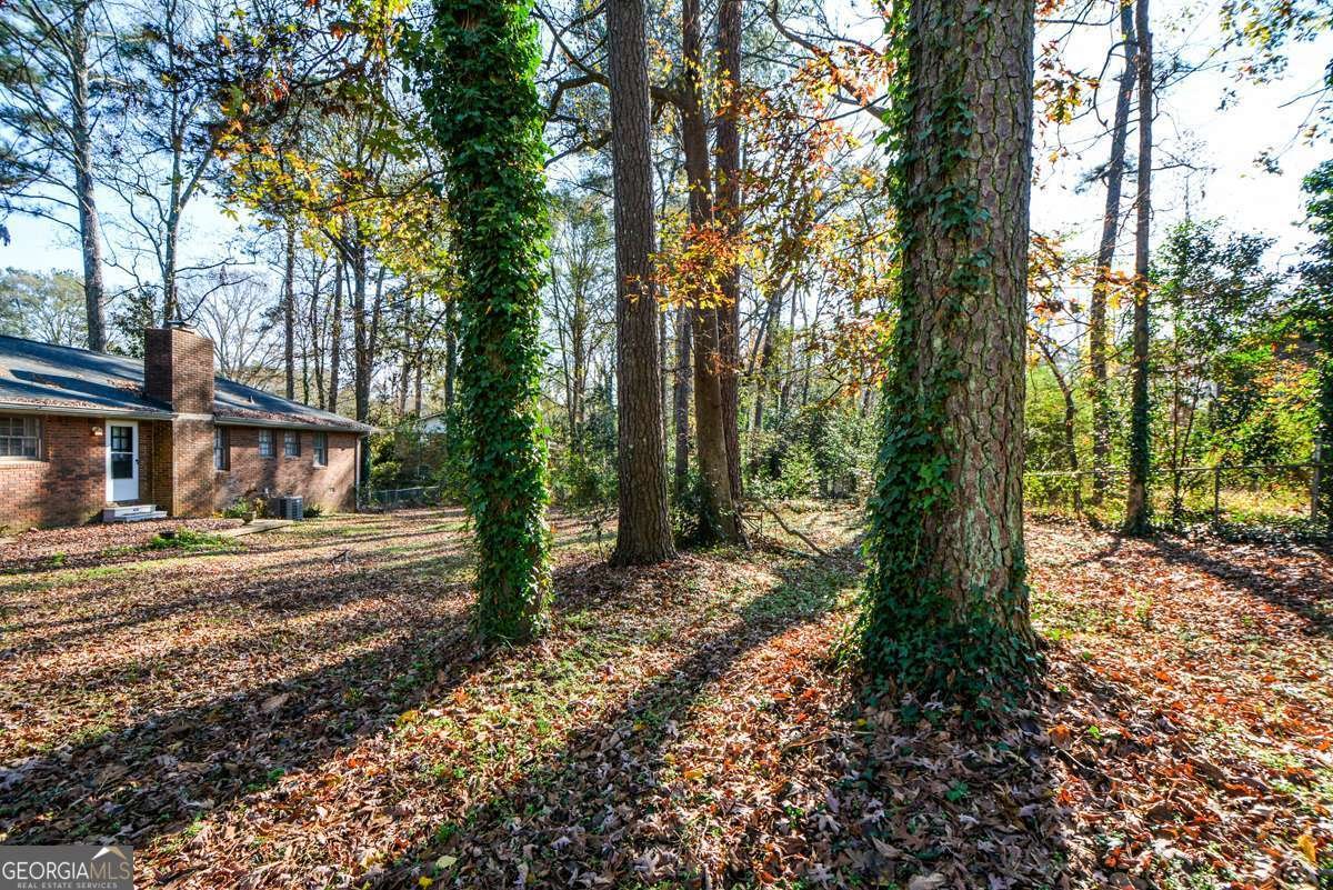 1316 White Oak Street Conyers - 46