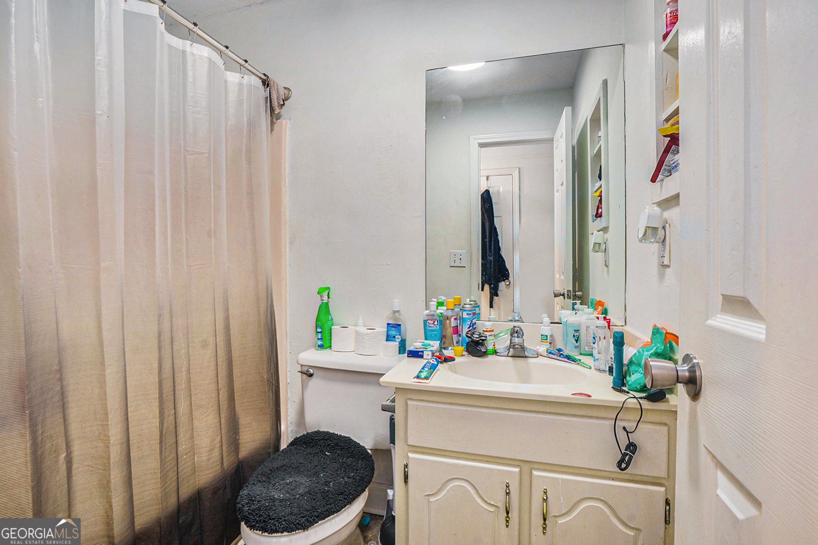 1696 Almand Creek Drive Conyers - 13