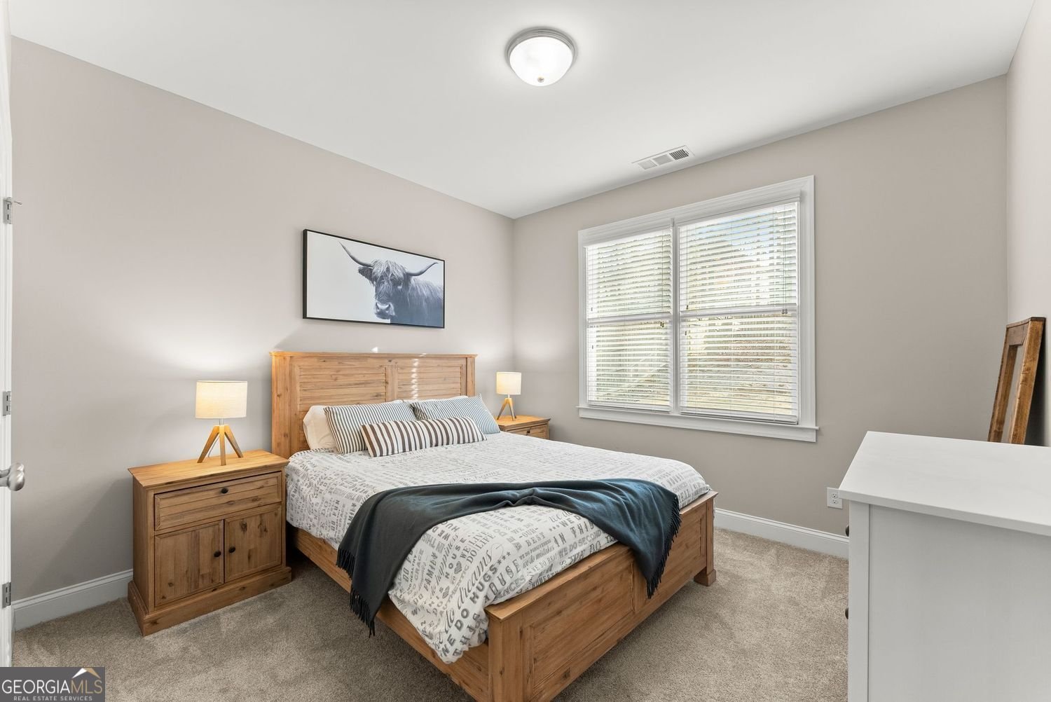 4436 Trilogy Park Trail Hoschton - 10