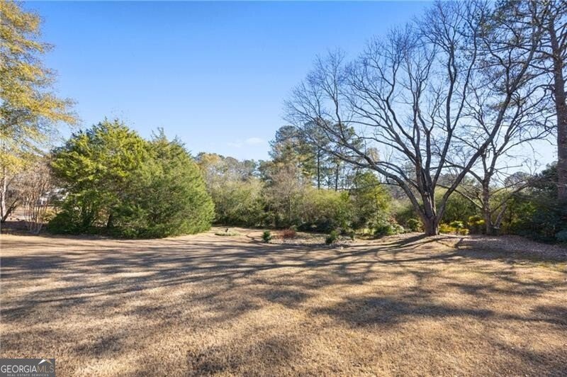 2866 Alamo Place Snellville - 31