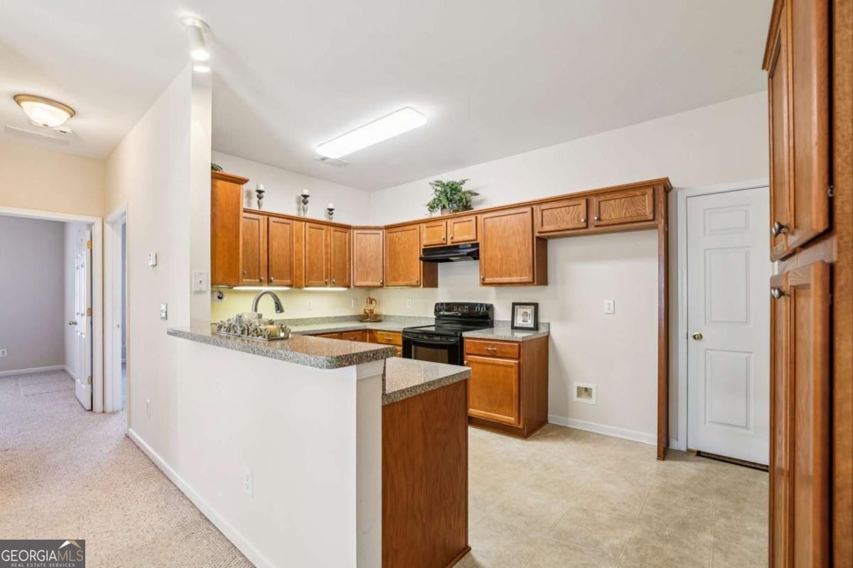 119 HOLIDAY Road Buford - 9