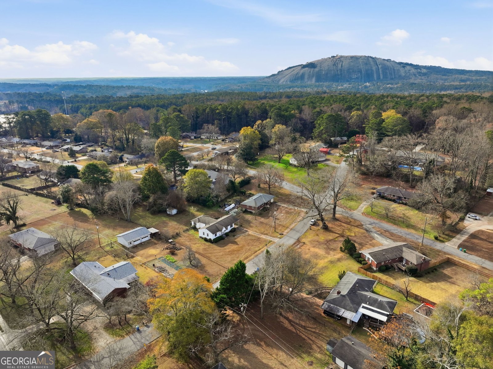 1655 Lucelle Avenue Stone Mtn - 40