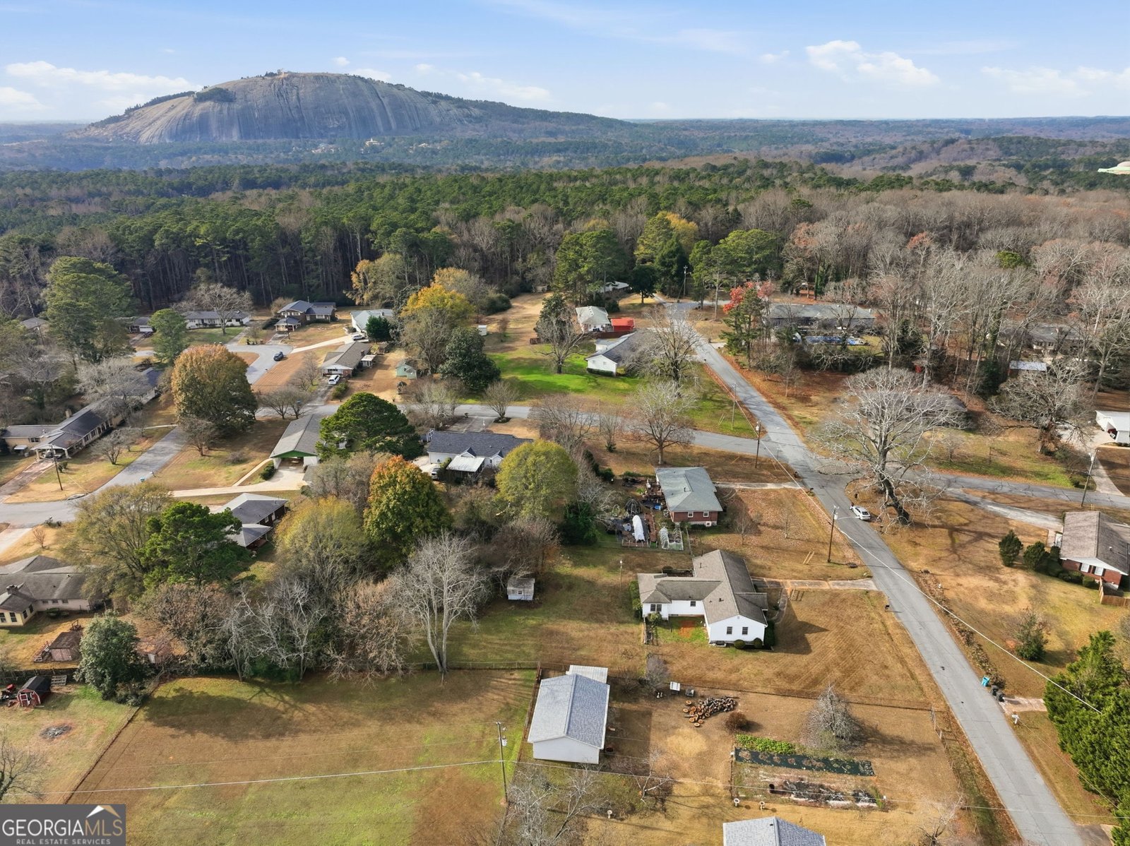 1655 Lucelle Avenue Stone Mtn - 42