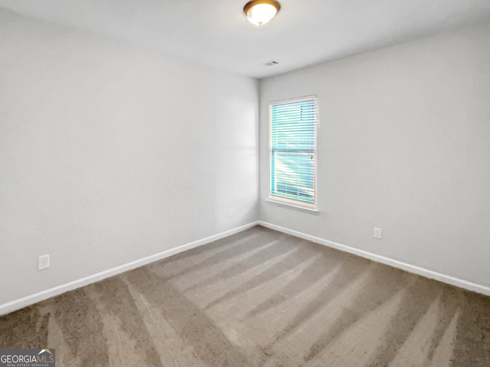 4129 Village Preserve Way Gainesville - 18