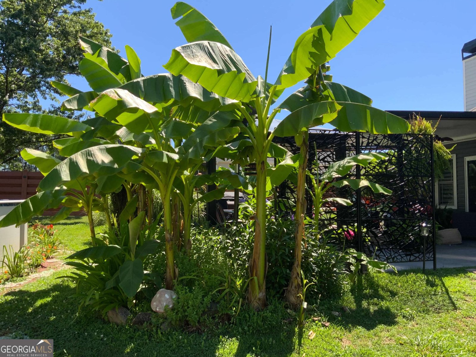 35 Candlewood Drive Newnan - 77