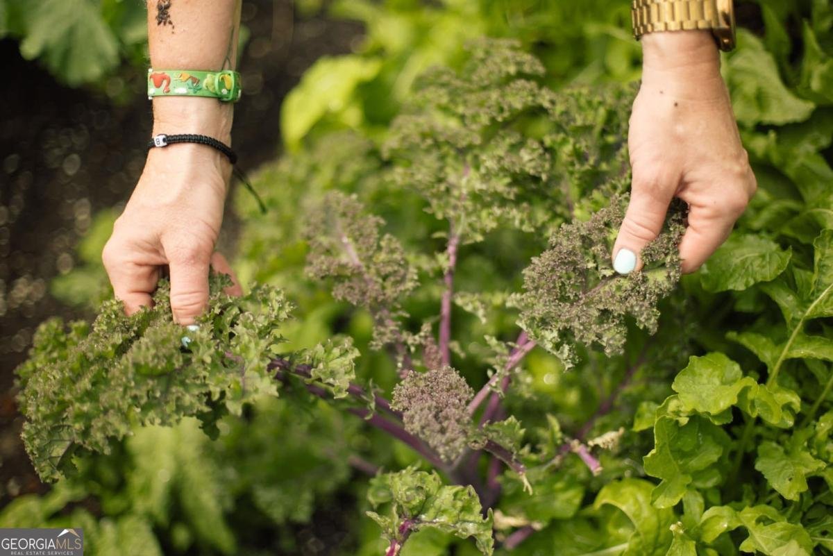 1121 Providence Loop Greensboro - 57