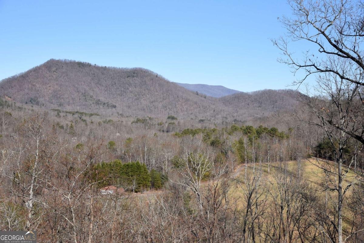 1512 Upper Bell Creek Road Hiawassee - 35