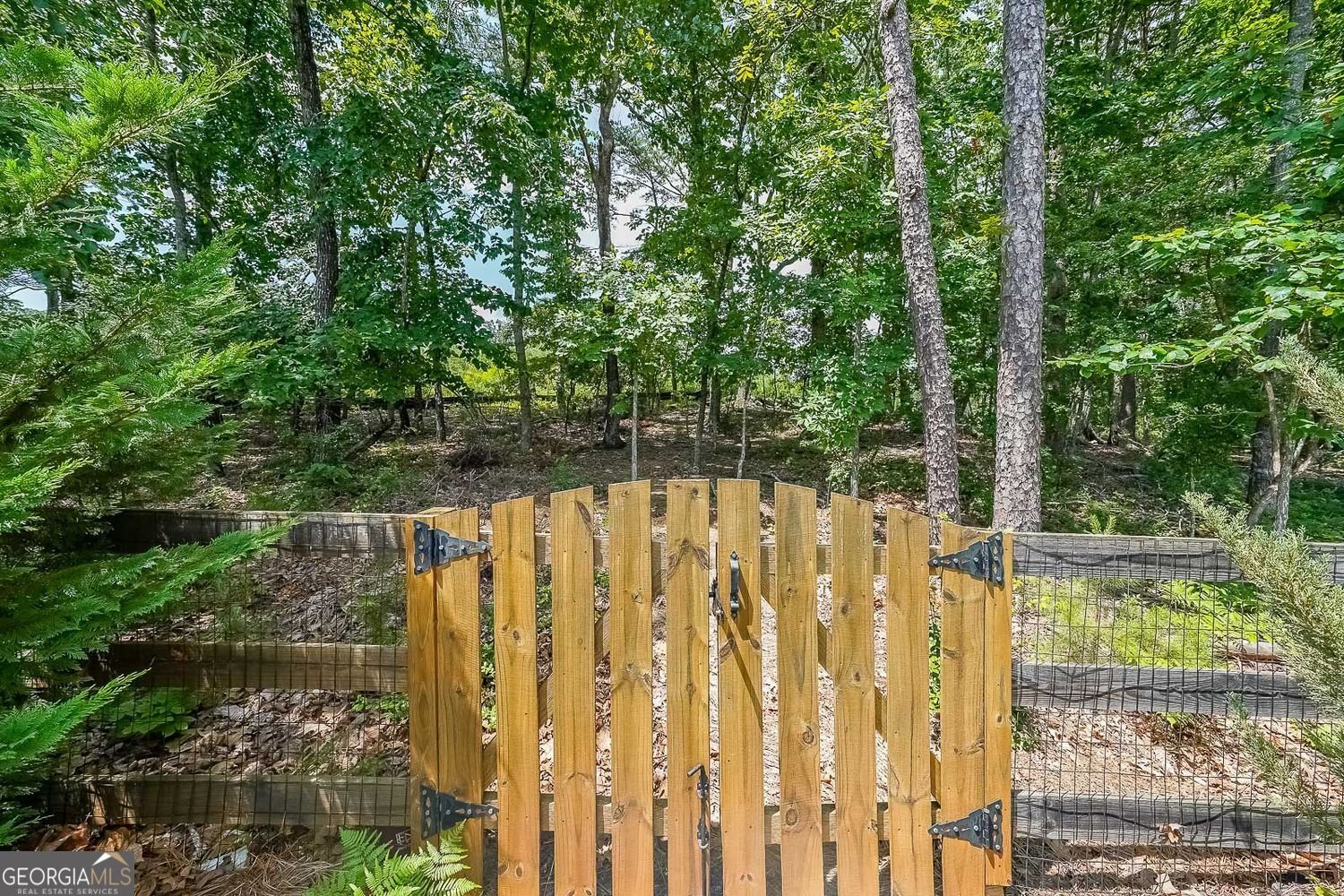 300 Sky High Trail Canton - 42