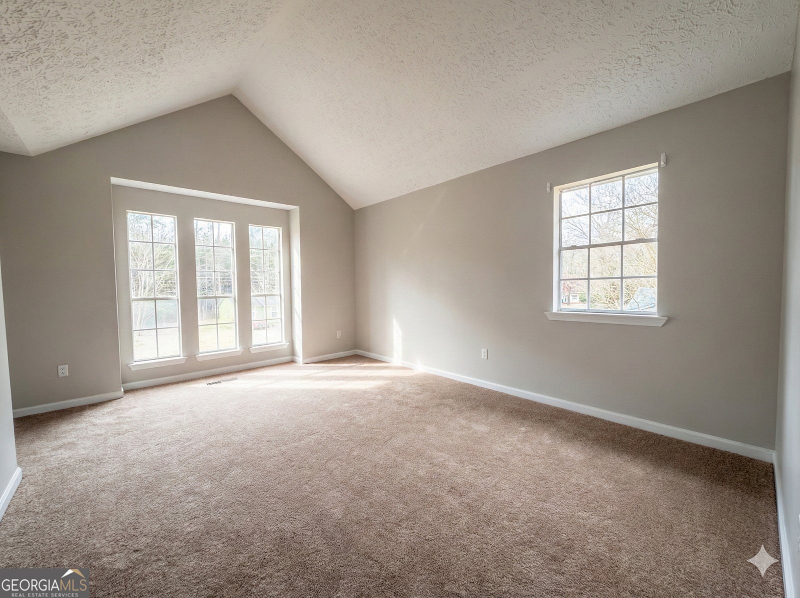 411 Fawnbrook Circle Griffin - 4