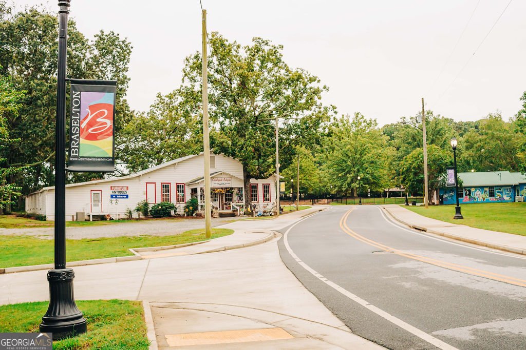 168 Brandle Rose Way Hoschton - Photo 72