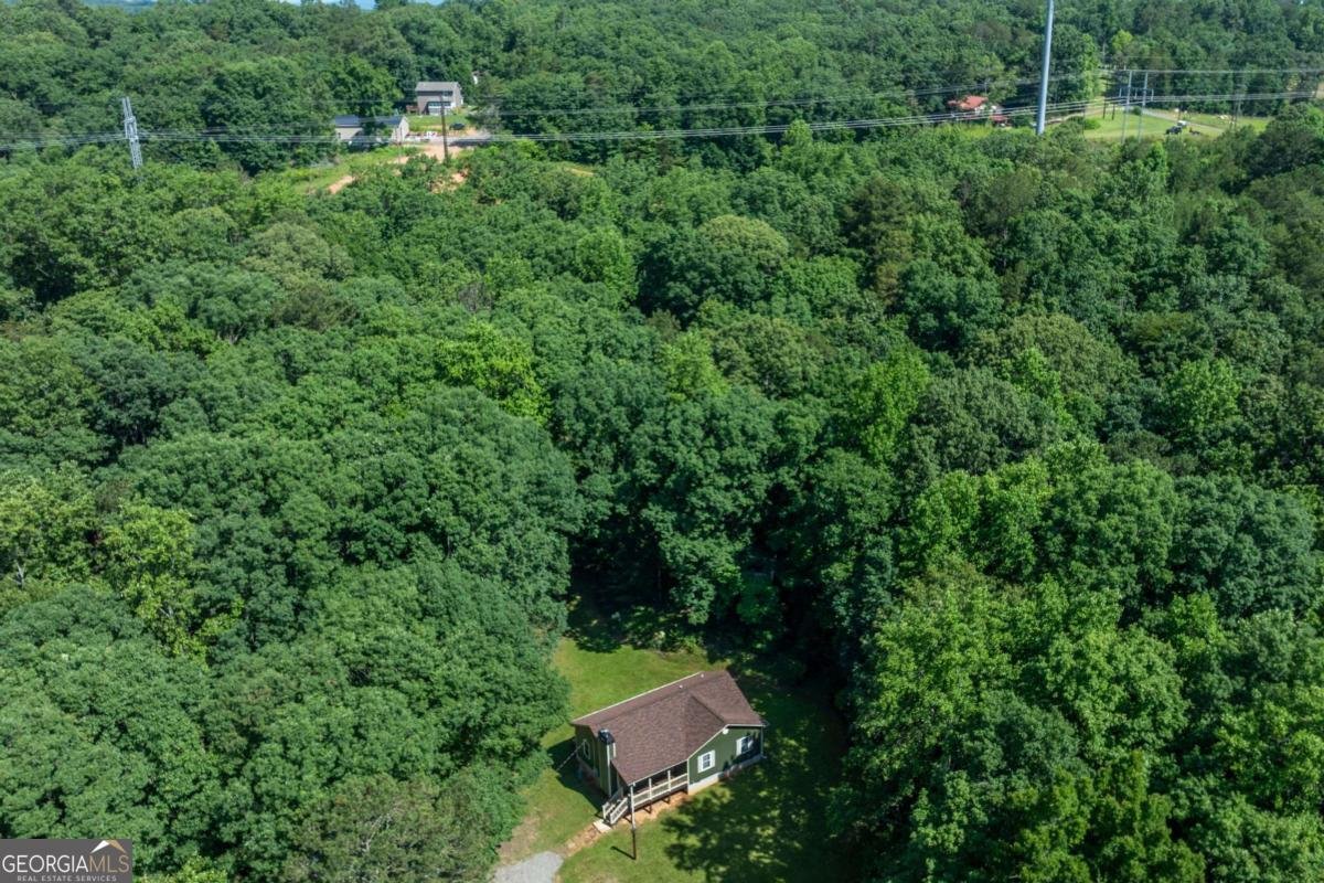 410 Sharp Mountain Church Lane Ball Ground - 26