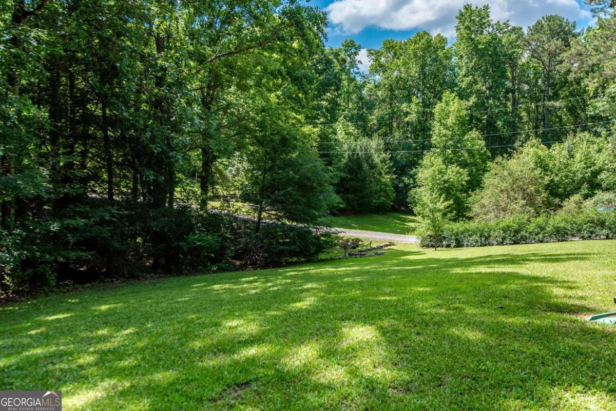 410 Sharp Mountain Church Lane Ball Ground - 3