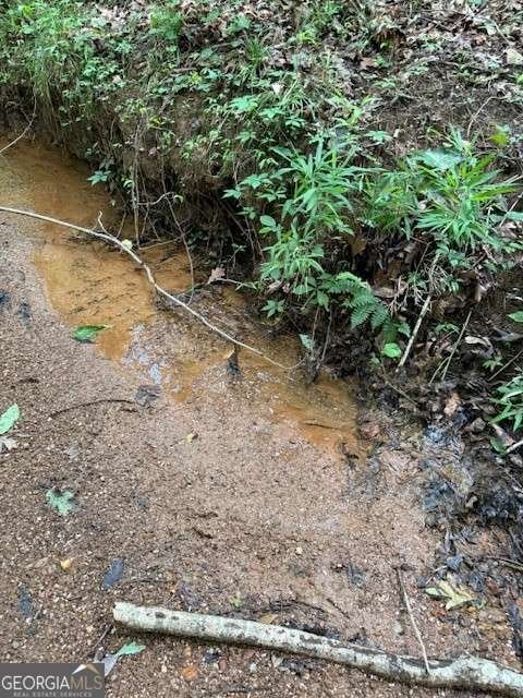 410 Sharp Mountain Church Lane Ball Ground - 32