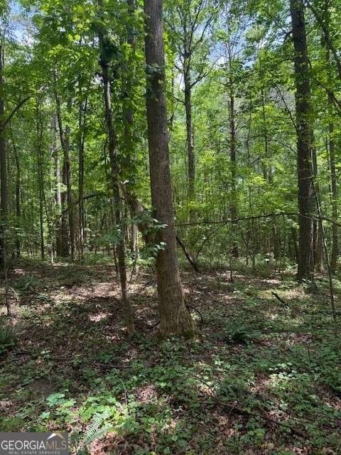 410 Sharp Mountain Church Lane Ball Ground - 33