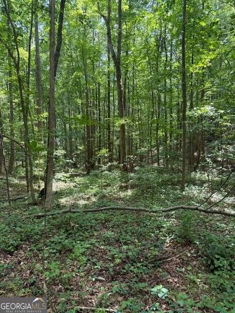 410 Sharp Mountain Church Lane Ball Ground - 34