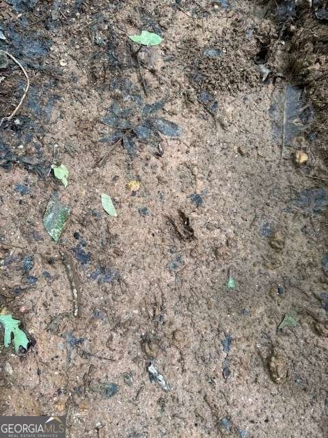 410 Sharp Mountain Church Lane Ball Ground - 35