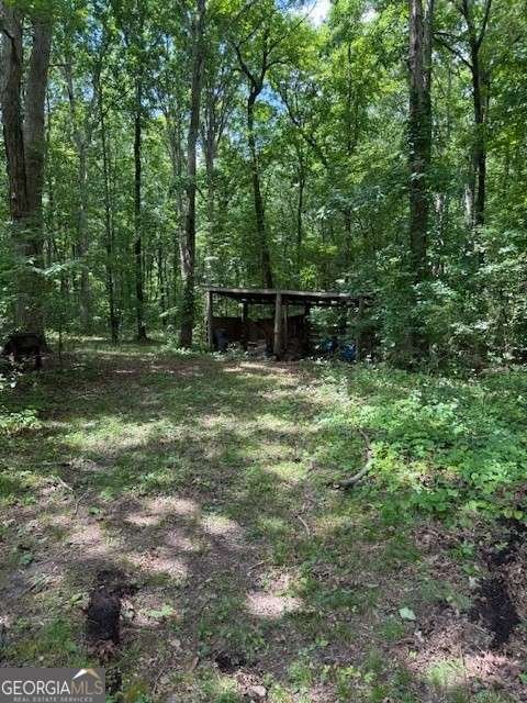 410 Sharp Mountain Church Lane Ball Ground - 36