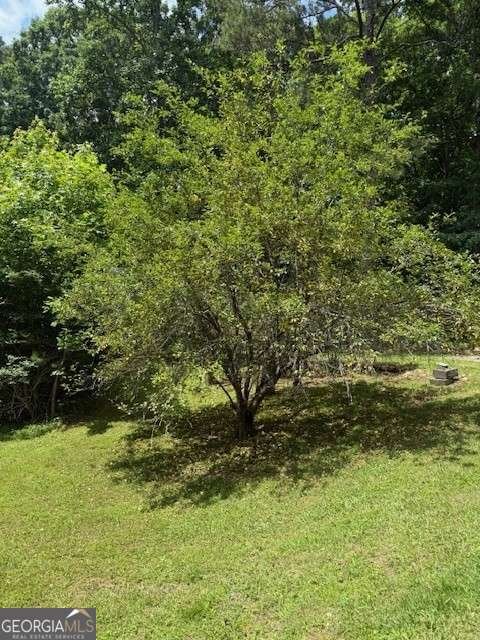 410 Sharp Mountain Church Lane Ball Ground - 38