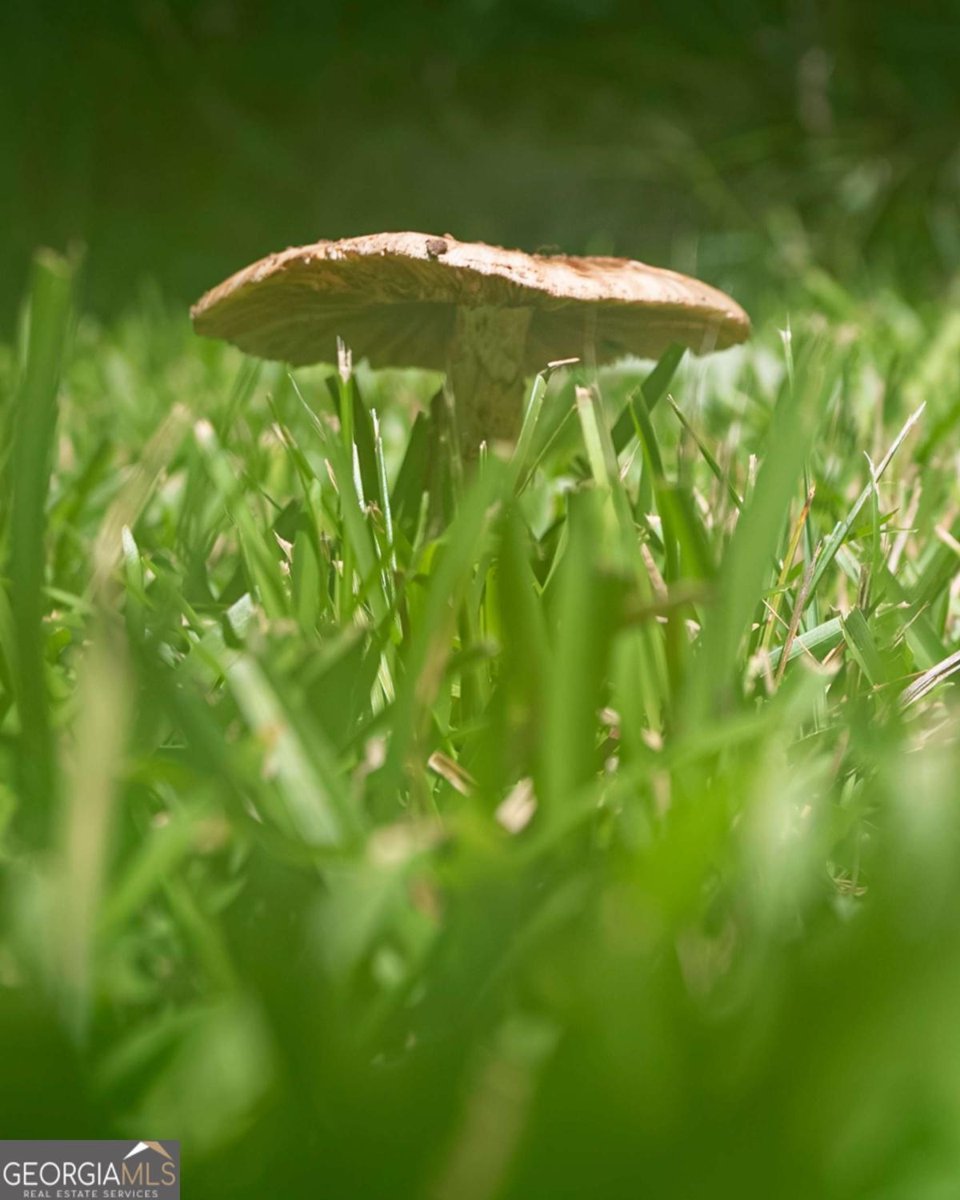 410 Sharp Mountain Church Lane Ball Ground - 43