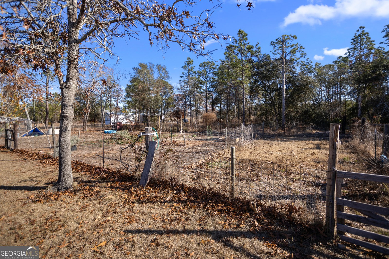 585 Brangus Lane Collins - 19