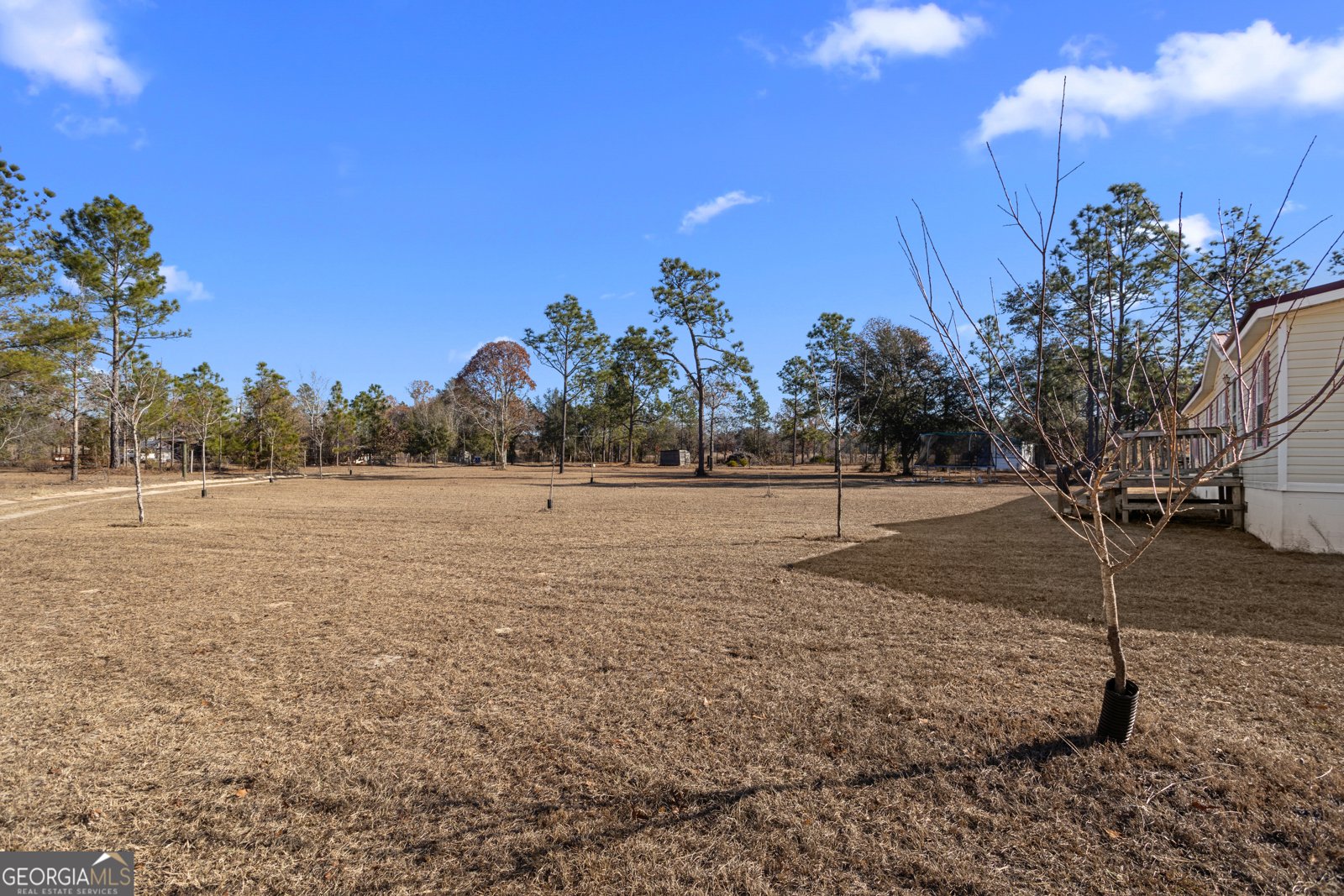 585 Brangus Lane Collins - 20