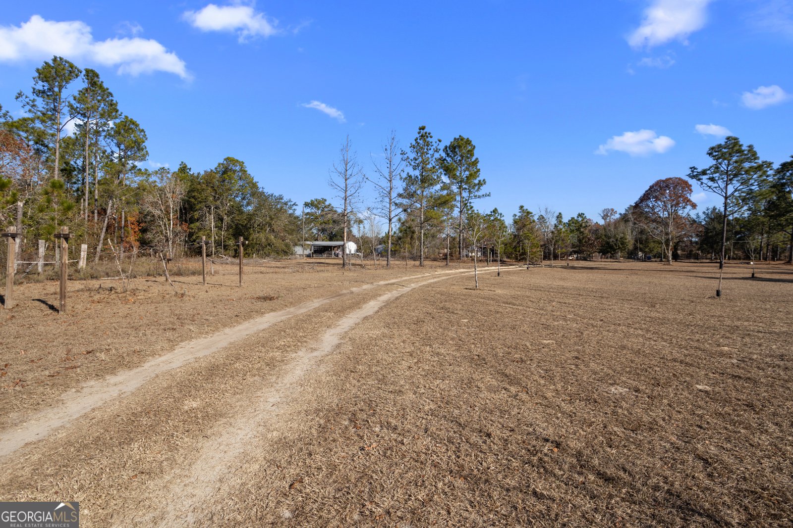 585 Brangus Lane Collins - 21